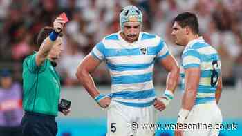 Nigel Owens appalled by Argentina footage as legendary ref snubbed by captain