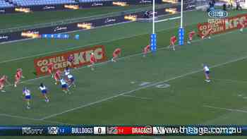 Dogs star barges over