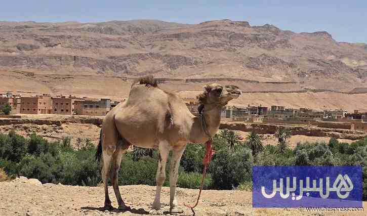مضايق تودغى تقود الإقلاع السياحي