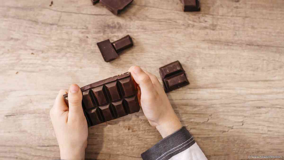 Meerdere kinderen onwel na eten van chocolade met paddenstoelenextract op zomerkamp VS: ’Zagen eruit als zombies’