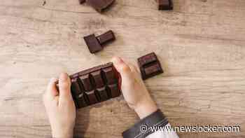 Meerdere kinderen onwel na eten van chocolade met paddenstoelenextract op zomerkamp VS: ’Zagen eruit als zombies’