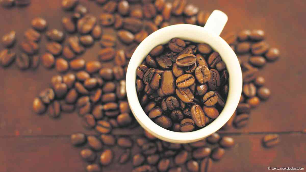 Vijf koppen koffie per dag? Niet alleen veilig, ook nog eens goed voor je gezondheid, zeggen onderzoekers