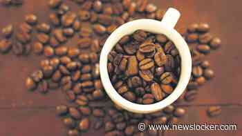 Vijf koppen koffie per dag? Niet alleen veilig, ook nog eens goed voor je gezondheid, zeggen onderzoekers