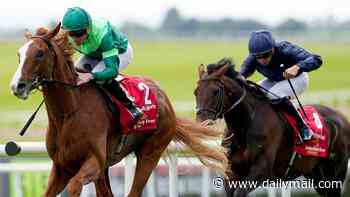 Reports of Aidan O'Brien's disastrous Flat campaign may have been exaggerated... and Benvenuto Cellini could bring him King George joy today