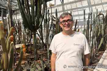 « Nous sommes un peu les pâtissiers du jardinage » : les équipes du centre botanique de Monaco au chevet de cactus rares