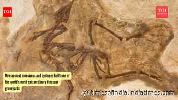 How ancient monsoons and cyclones built one of the world's most extraordinary dinosaur graveyards