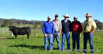 Repeat, new buyers drive top price, average up at Urban Angus 10th sale