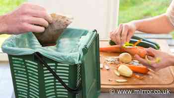 Food waste bin rules explained - including surprising free item you can use as a liner