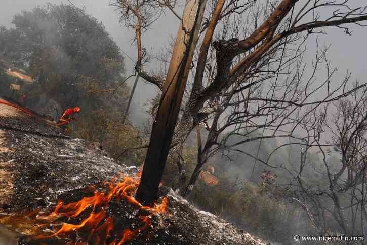 Incendies en France et en Espagne, évacuations massives, renforts de l’armée : le point matinal sur la situation ce samedi