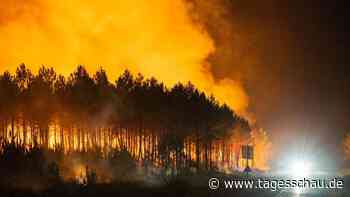 Waldbrände in Frankreich: Feuer bewegen sich auf Bordeaux zu