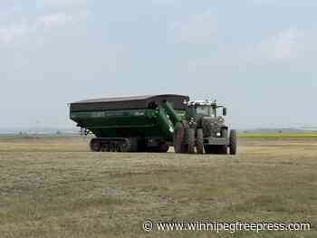 Automation reaches new heights on farm