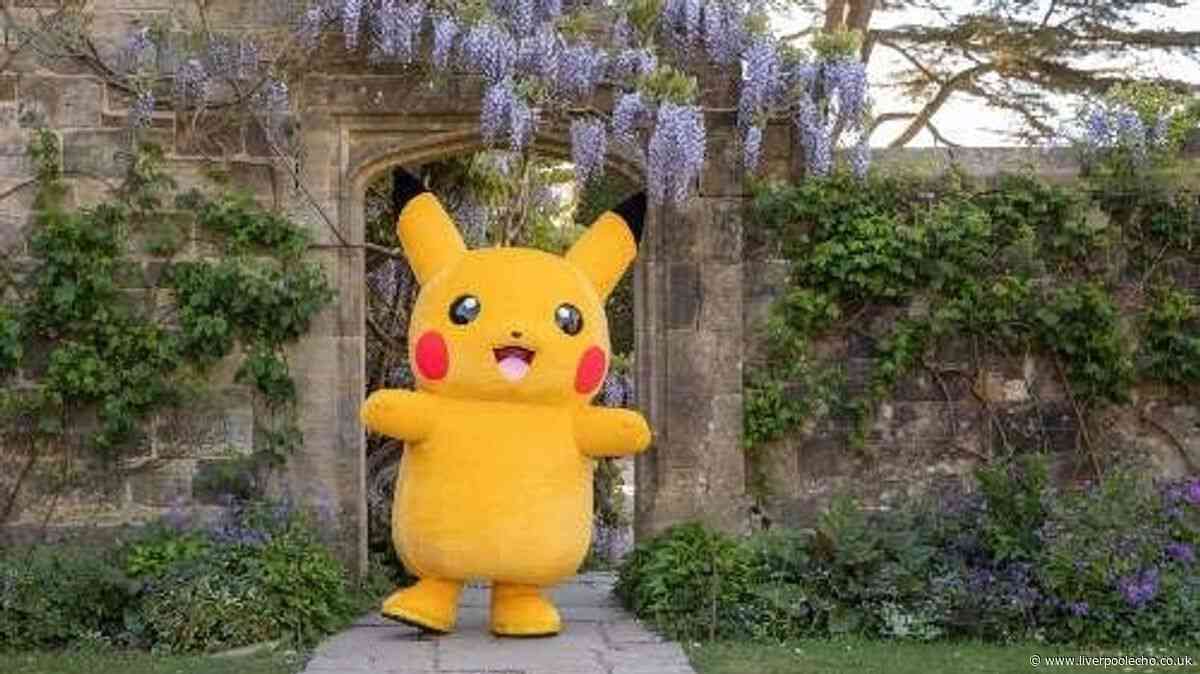 Perfect family day out with play areas, Pokémon trial and Tudor manor to explore