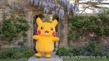Perfect family day out with play areas, Pokémon trial and Tudor manor to explore