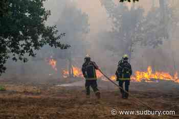 Wildfire leads to evacuations in some suburbs of the French city of Bordeaux