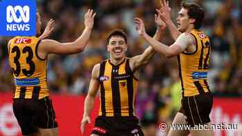 Live: Hawks avalanche overwhelms Dons as Swans dominate listless Giants