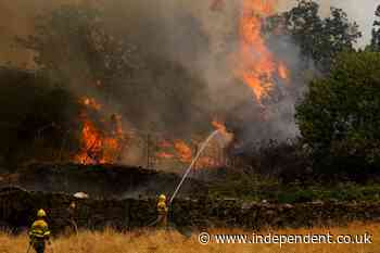 Europe wildfires latest: Bordeaux suburbs evacuated as France sends in army while winds in Spain could worsen blaze