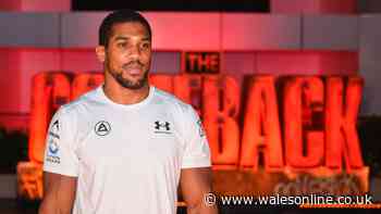 Boxing tonight: Anthony Joshua fight start time, TV channel and full undercard
