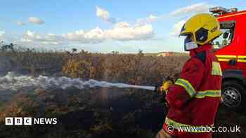 What is causing the summer wildfires?
