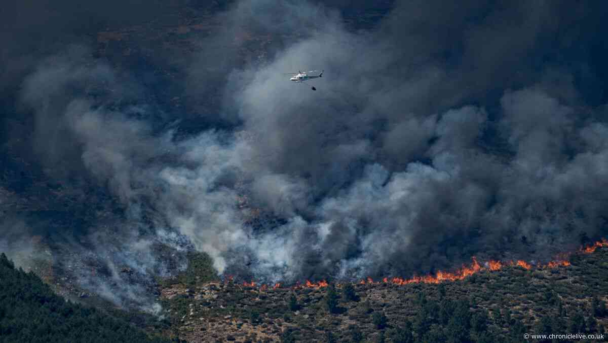 Spain and France wildfires force 200,000 people to flee their homes in heatwave