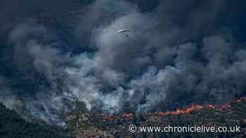 Spain and France wildfires force 200,000 people to flee their homes in heatwave
