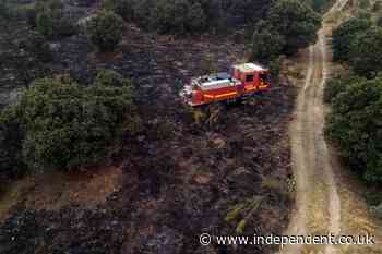 Photos show scale of devastation caused by unprecedented wildfires in France and Spain