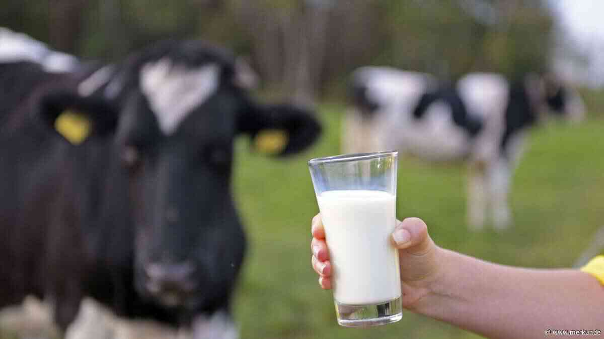 Kommt der „Milch-Blackout“?: In Bayerns Molkereien befinden sich in „größtem Warnstreik“