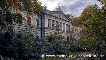 Dieses überwucherte Schloss mitten auf einer deutschen Insel wirkt wie aus einem Märchen
