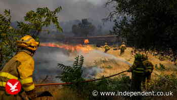 Homes go up in flames as wildfires tear through Spain
