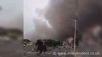 Horses run from thick black smoke as wildfires rage in France