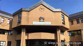 Calls for additional learning needs funding made by Neath Port Talbot Council