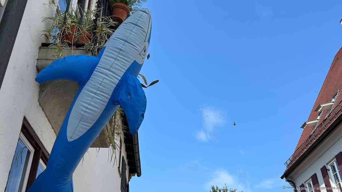Hängt ein Wal am Balkon oder: Sommerlich-Verwunderliches aus Augsburg und der Welt