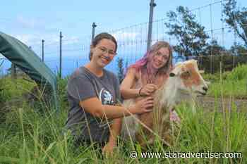 Hawaii island animal sanctuary evolves to expand opportunities