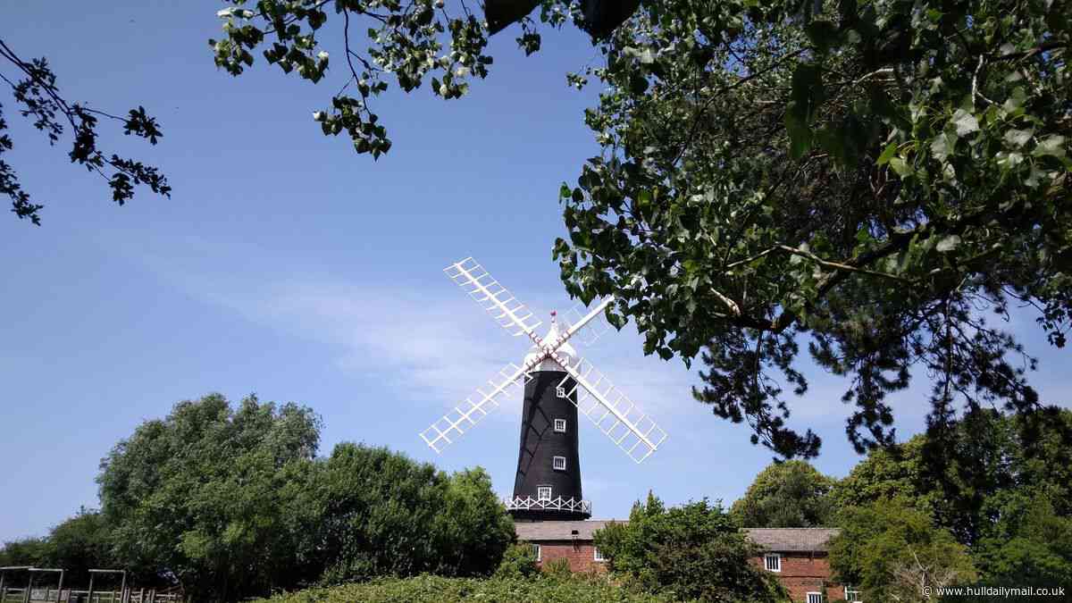 I went to see Skidby Mill's new sails and got more than I bargained for