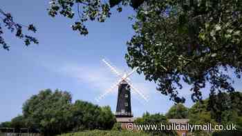 I went to see Skidby Mill's new sails and got more than I bargained for