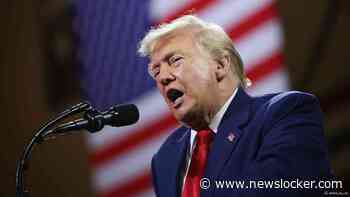 Regering VS trok subsidies in voor staten die in 2024 niet op Trump stemden