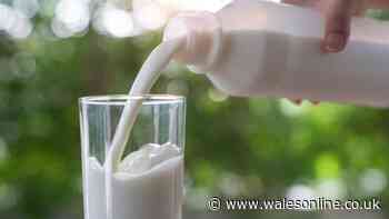White drink that may hydrate 'longer than water', says expert
