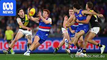 Live: Dogs take control against Tigers, Hawks and Swans dominate