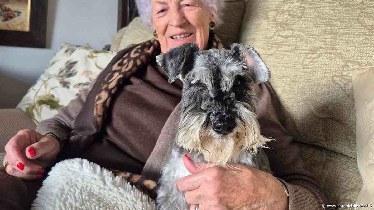 North East volunteers sought to provide vital dog walking support to elderly and terminally ill