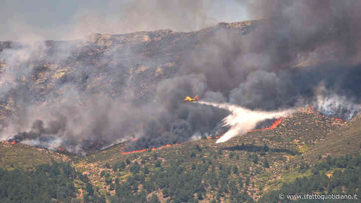 Incendi in Francia e Spagna, oltre 250 persone evacuate nelle regioni colpite e decine di vigili del fuoco feriti