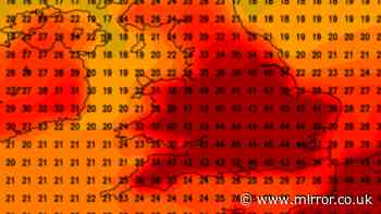 UK weather model shows 45C heat surge in what would be hottest day ever seen