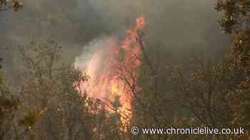 UK tourists urged not to cancel travel plans due to wildfires in France