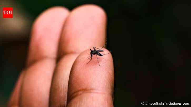 Similar symptoms, climate change &amp; testing gaps: Why monsoon illnesses are so often misdiagnosed