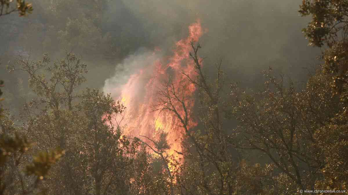 UK tourists urged not to cancel travel plans due to wildfires in France