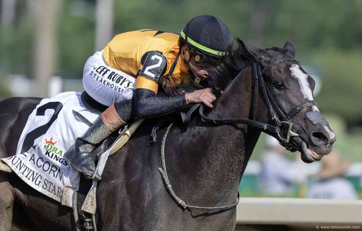 Hollingsworth: Still looking for that bailout at Saratoga? Consider the ‘All’ button