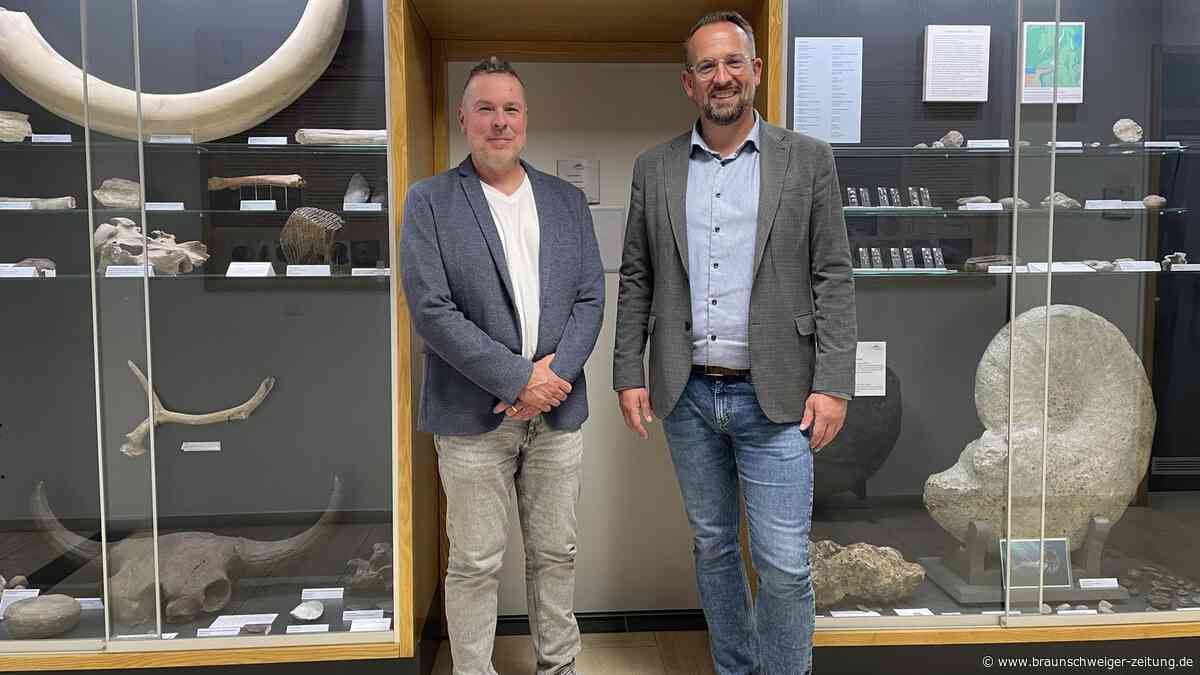 Quasi Lengeder Urgesteine: Fossilien im Keller des Rathauses neu präsentiert
