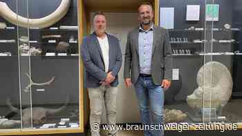 Quasi Lengeder Urgesteine: Fossilien im Keller des Rathauses neu präsentiert