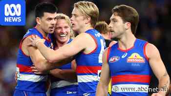 Dogs too strong for Tigers, Hawks and Swans dominate