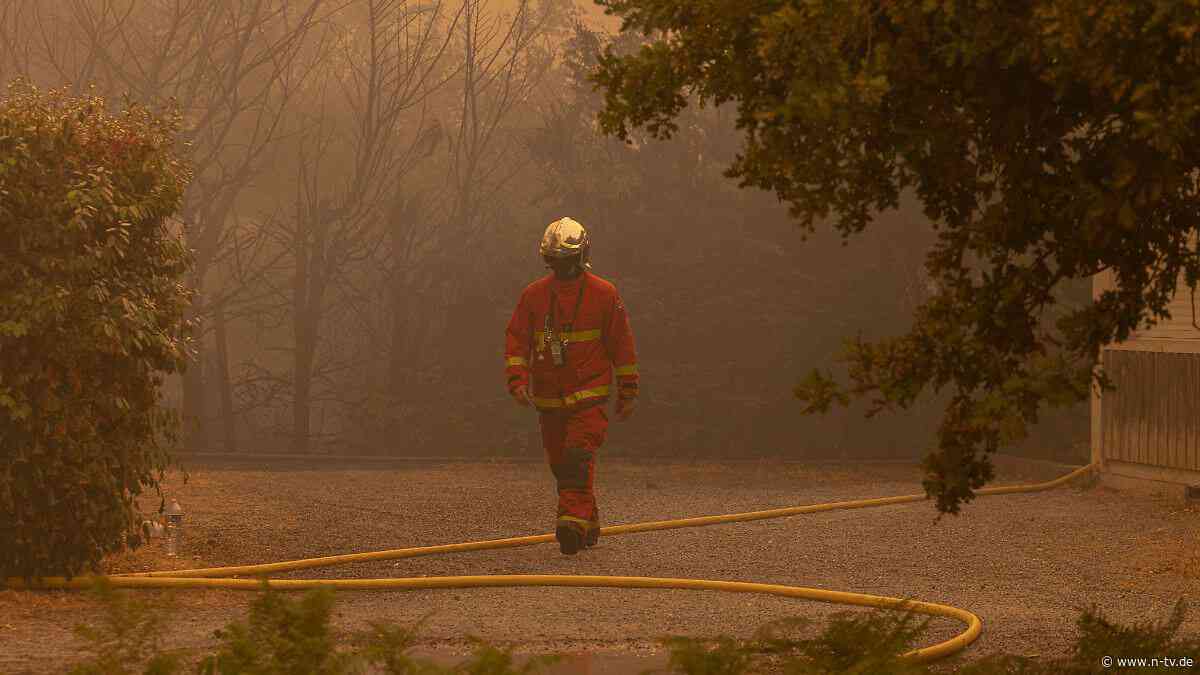 "Braucht rasche Umsetzung": Verheerende Waldbrände: Grünen-Chefin fordert mehr Einsatz für Klimaschutz