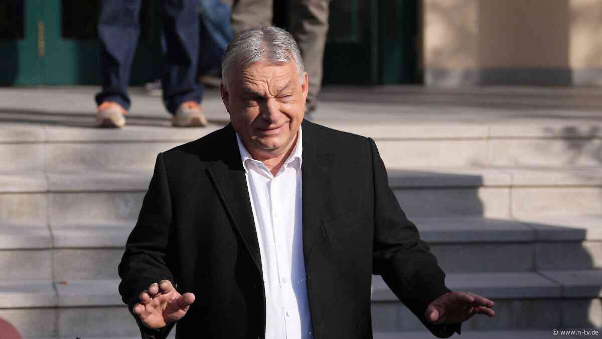 Auftritt in Rumänien: Orban ruft zum "Widerstand" gegen "Willkürherrschaft" auf