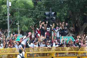 India’s 'Cockroach' movement ends protests after education minister resigns